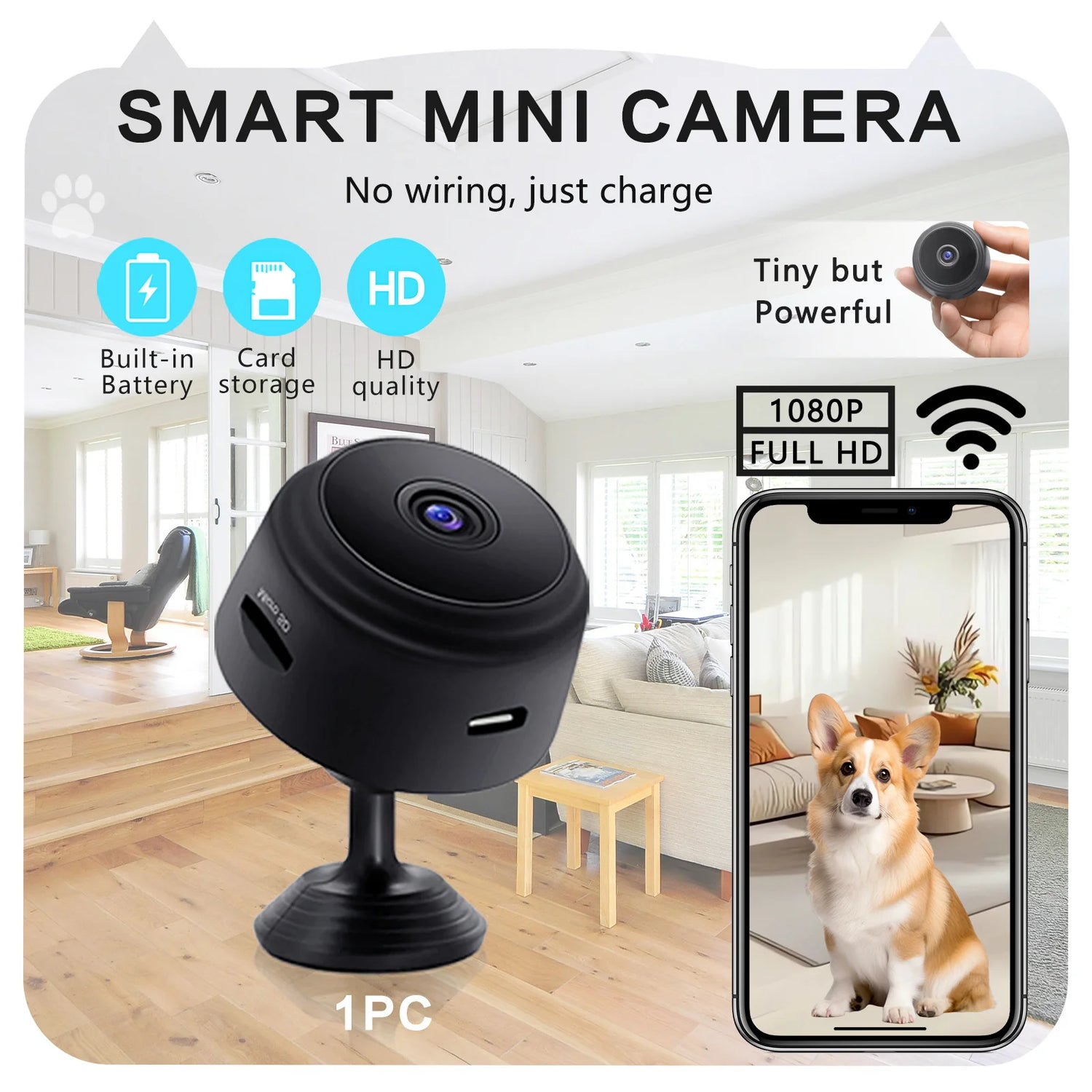 Surveillance Cameras
